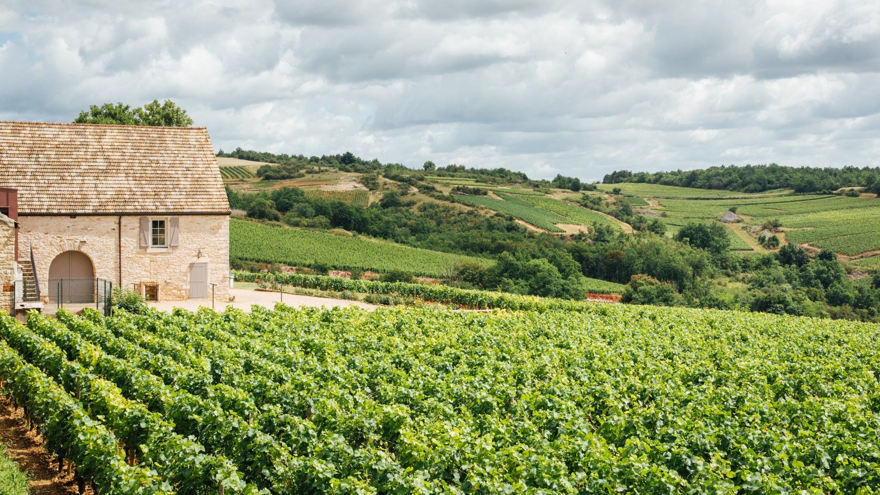 Bourgogne Blanc 2003 Domaine Comte