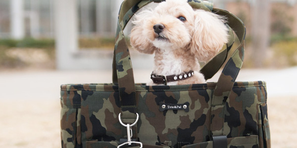 CARRY BAG（キャリーバッグ）／迷彩：Toto & Pal（トトアンドパル