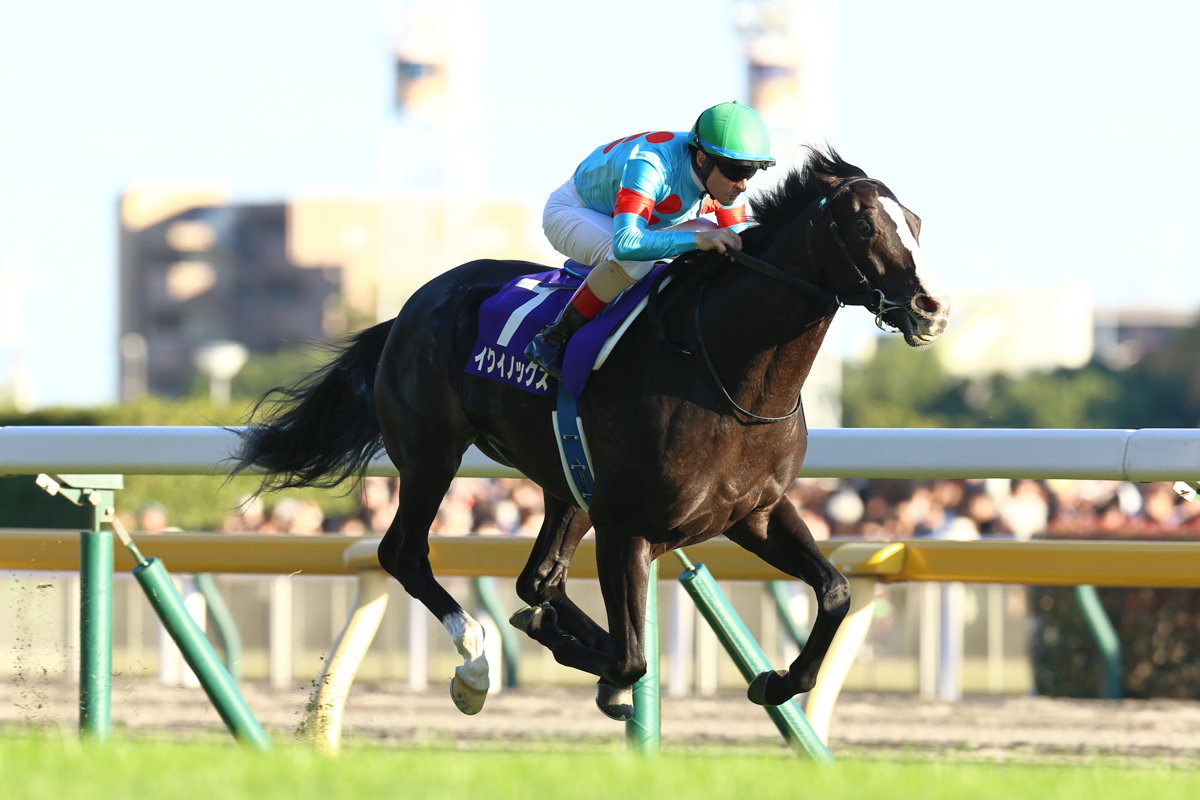 向かうところ敵なし。イクイノックスがGⅠ5連勝(第168回天皇賞(秋