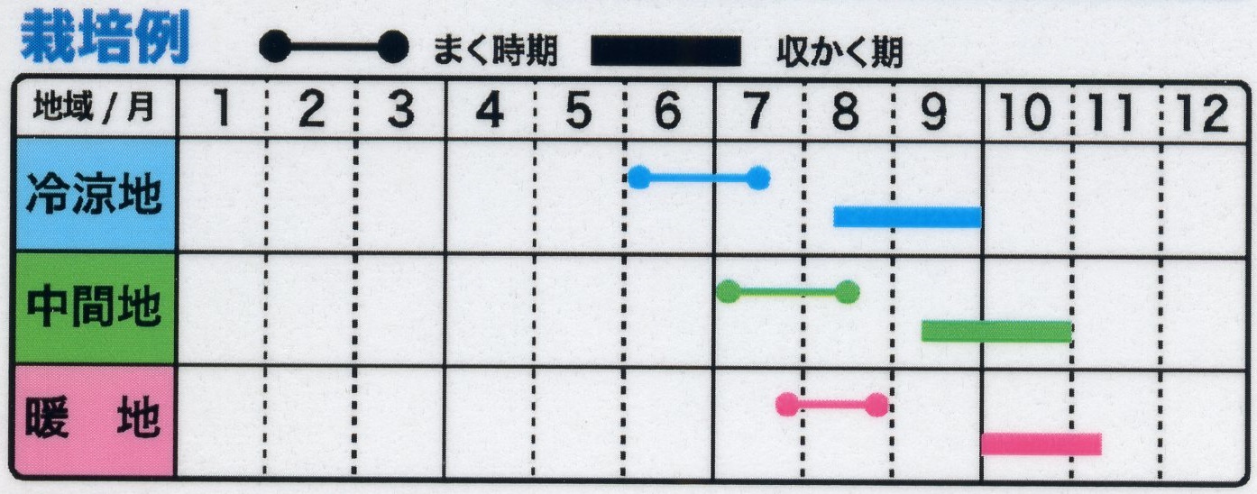 エダマメ | 野菜のタネ | 株式会社トーホク