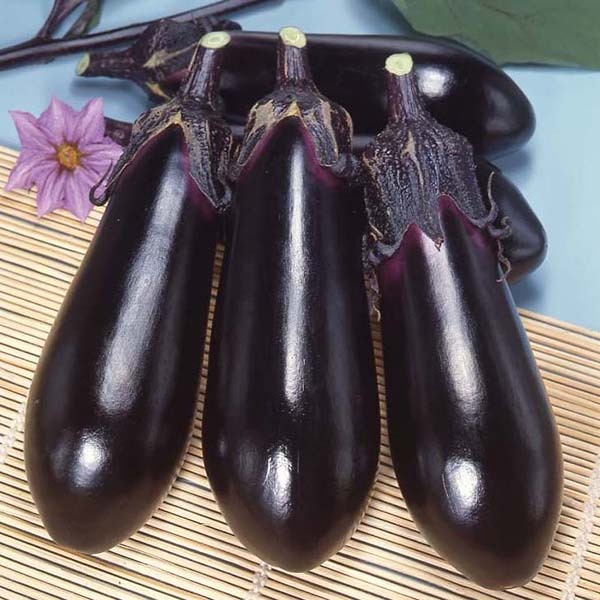 ナス | 野菜のタネ | 株式会社トーホク