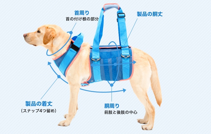 大型犬用 クールメッシュ | 歩行補助ハーネス LaLaWalk
