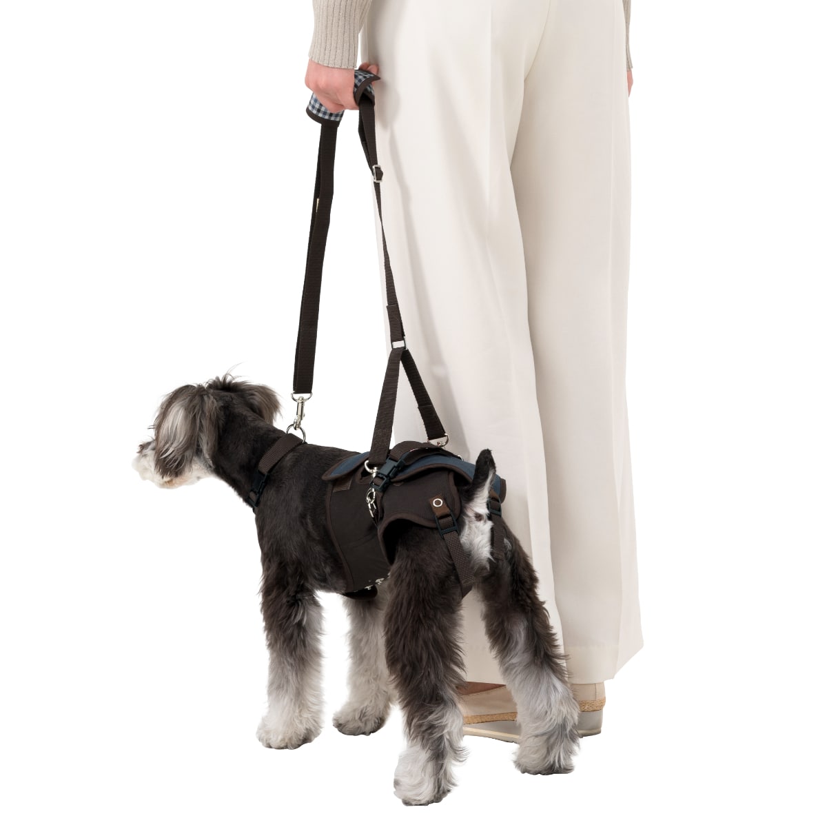 小型犬用 ロンドンミニチェック | 歩行補助ハーネス LaLaWalk