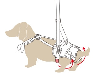 小型犬後ろ足用 ホールド セーラーマリン | 歩行補助ハーネス LaLaWalk