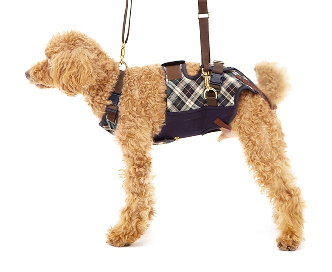 小型犬用 緑チェック | 歩行補助ハーネス LaLaWalk