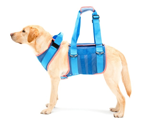 大型犬用 クールメッシュ | 歩行補助ハーネス LaLaWalk