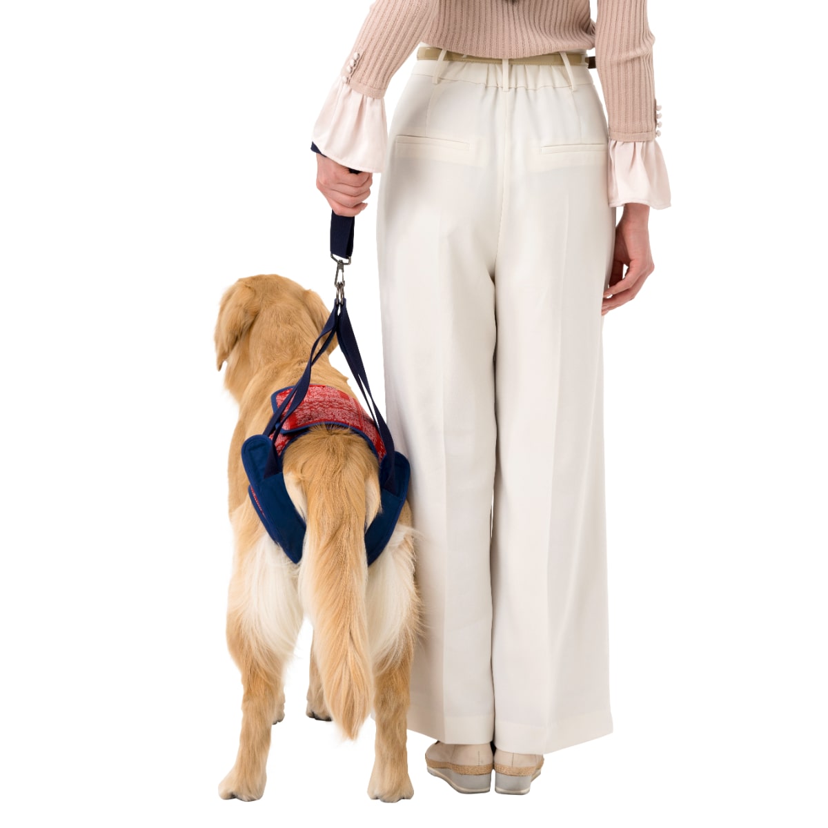 Hip ペイズリー | 歩行補助ハーネス LaLaWalk