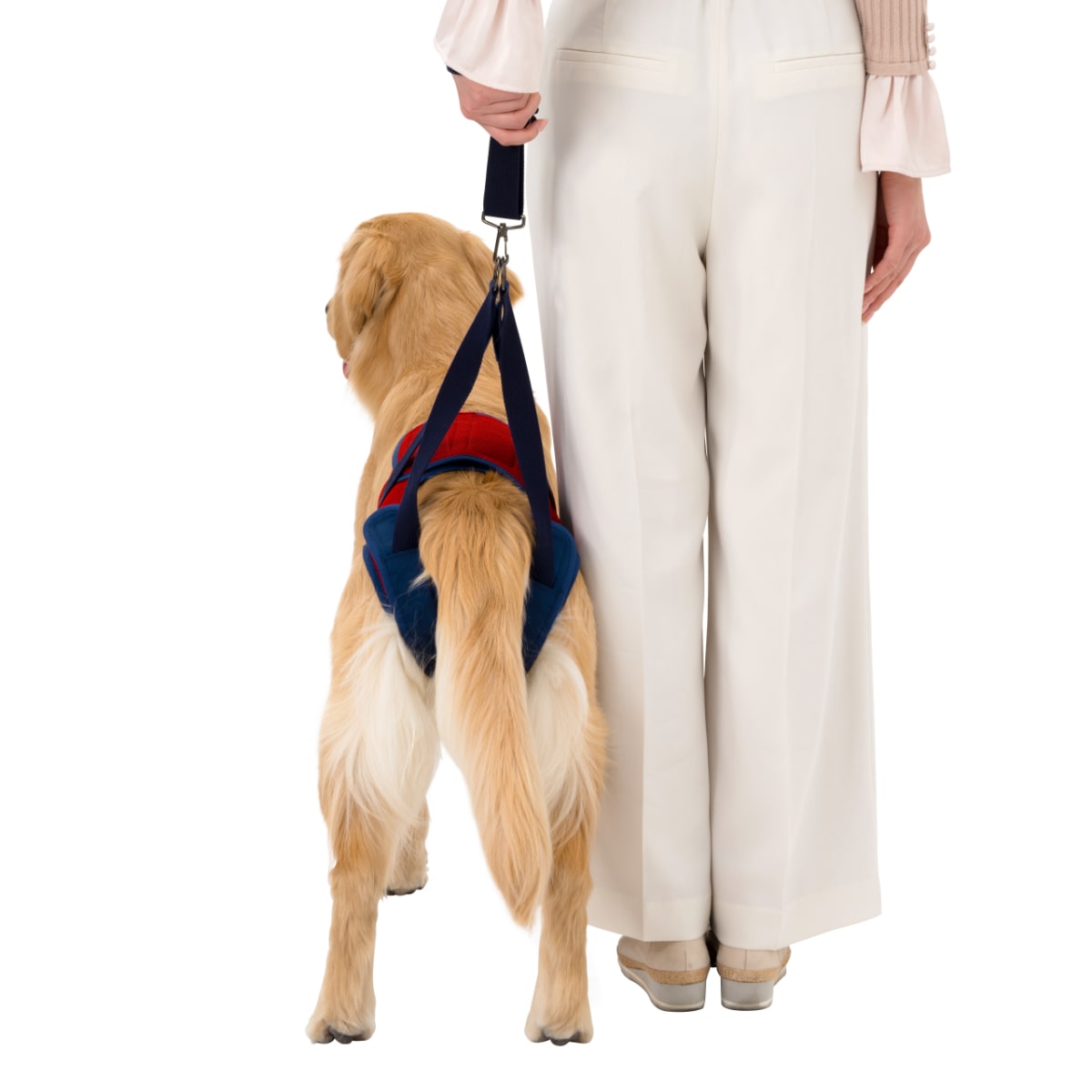 犬歩行補助ハーネス まりあ様 犬 歩行補助ハーネス 介護 歩行補助 介護