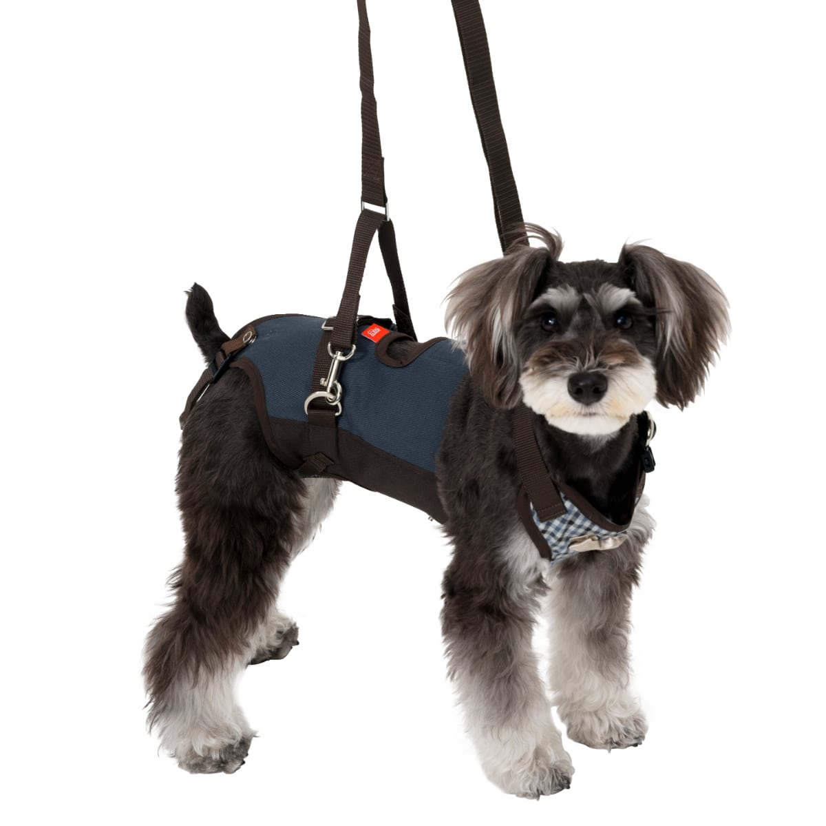 小型犬用 ロンドンミニチェック | 歩行補助ハーネス LaLaWalk
