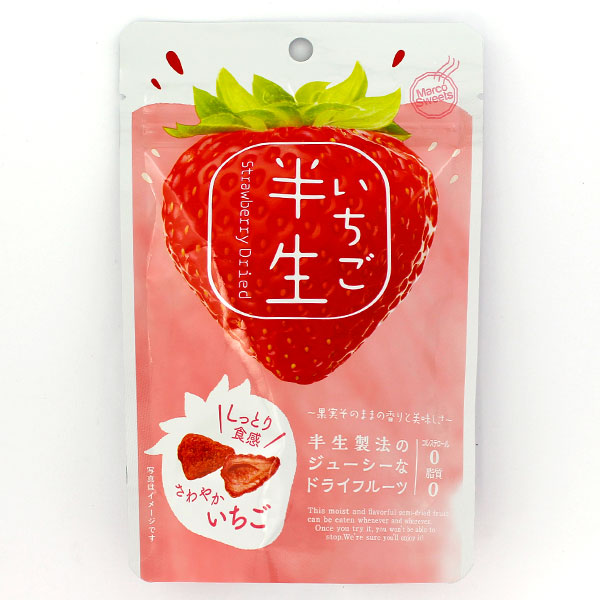 いちごチョコ このこのごはん ドライフード 1キロ✖️2袋 いちごチョコ