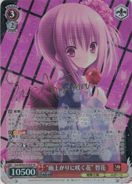 SP 雨上がりに咲く花 智花(サイン入り) BGS10 SP 雨上がりに咲く花 智