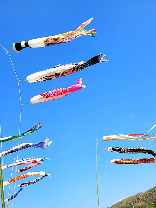 大きな竹の根っこ生活様用 大きな竹の根っこ生活様用 竹について（竹の