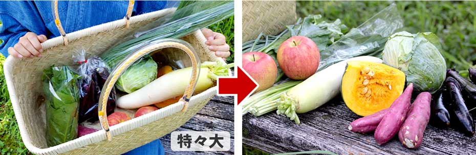 スズ竹市場かご(特大)篠竹 | 虎斑竹専門店 竹虎