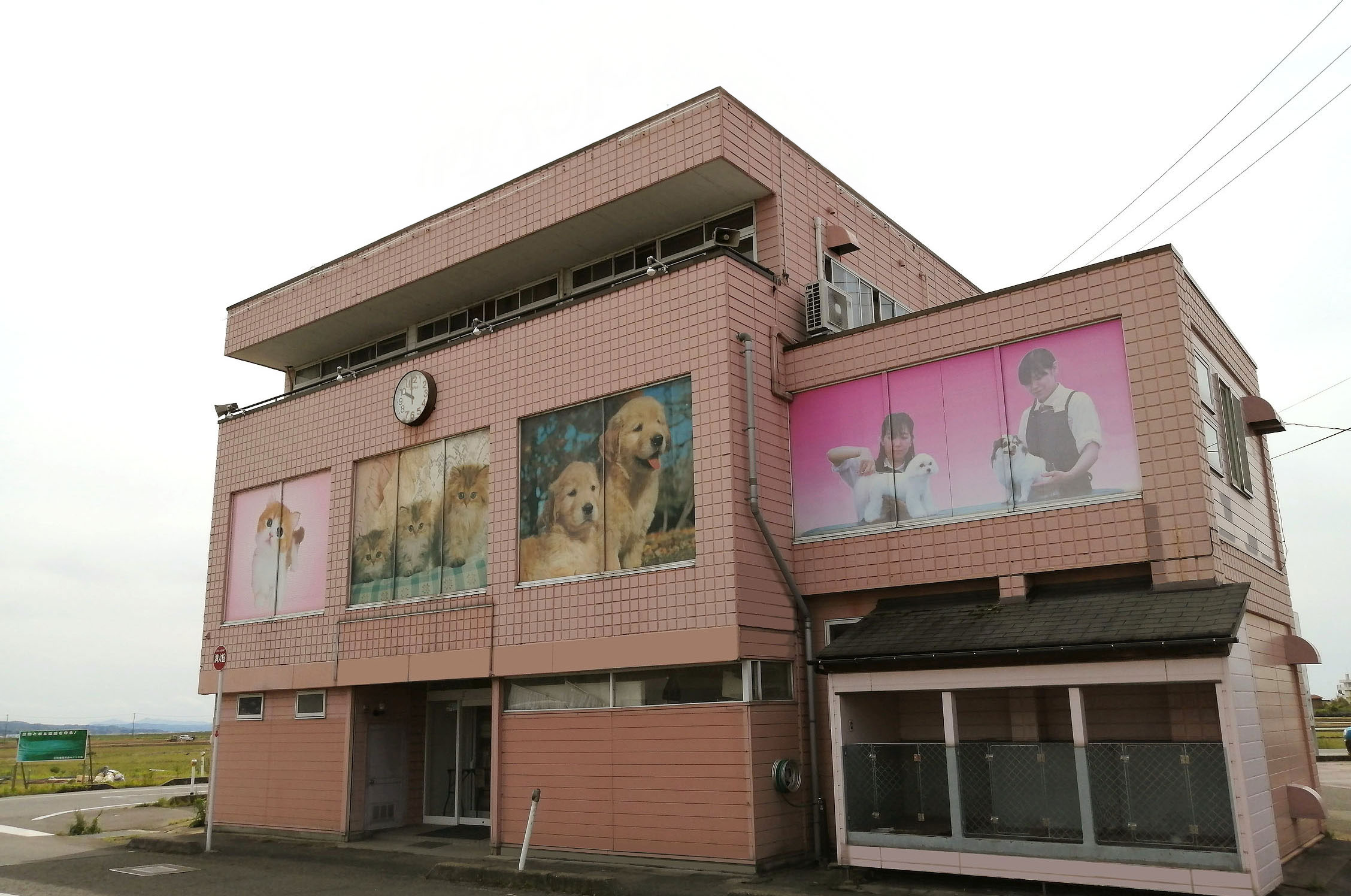 ショップ情報-ペットショップ、トリミングスクールの竹内ペット（株