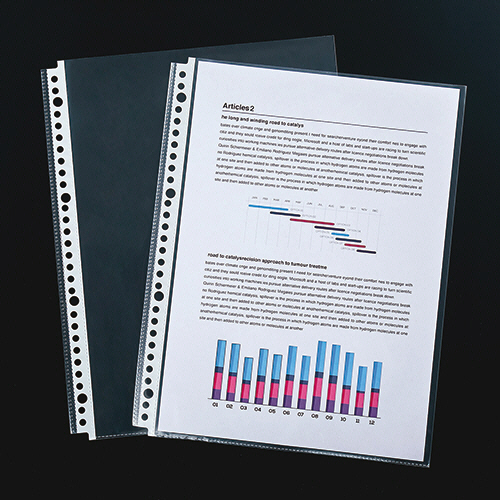 たのめーる】TANOSEE 書類がたくさん入るクリアファイル用リフィル A4