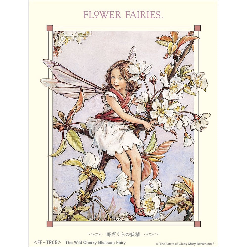 フラワーフェアリーズ シャドーボックス 野ざくらの妖精: キット