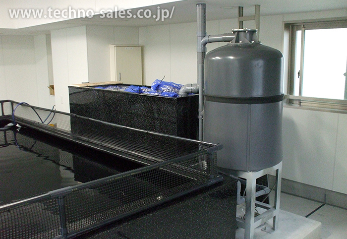 特注大型水槽の製作・設置事例｜テクノ販売株式会社