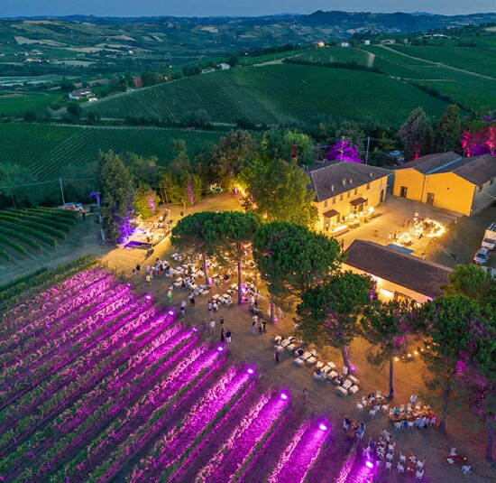 トスカニー イタリアワイン専門店 / グランディ コルディス