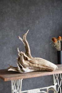 流木販売 大型サイズ