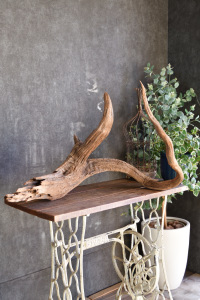 流木販売 特大サイズ