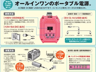 日動 LPE-R250L ポータブル電源 ピンバン(AC100V・DC12V・DC5V) ウエダ
