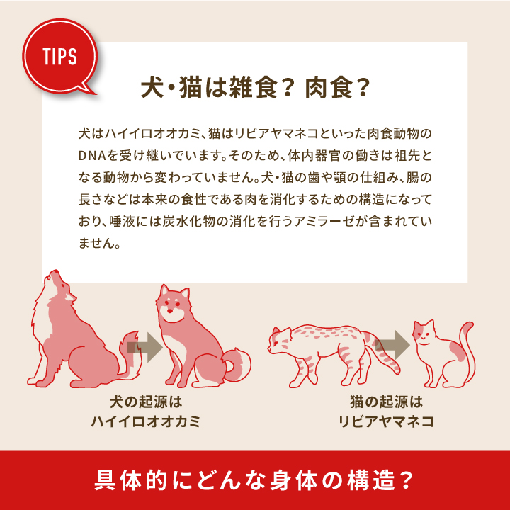 アカナ クラシック ワイルドコーストレシピ(魚肉) 9.7kg / 送料無料 | 通販