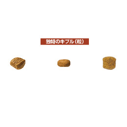 ロイヤルカナン ダックスフンド 成犬用 7.5kg / 送料無料 | 通販