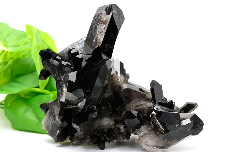 追跡付き】 アーチーchで紹介 ラッカゾージア 庵野水晶 追跡付き