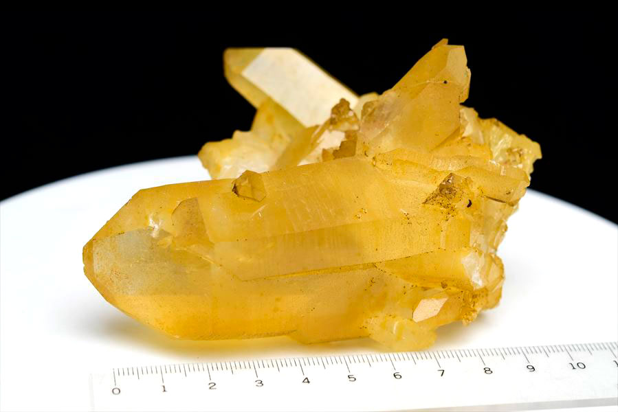 希少 クラスター ゴールデンヒーラー 上質！ 【公式通販】