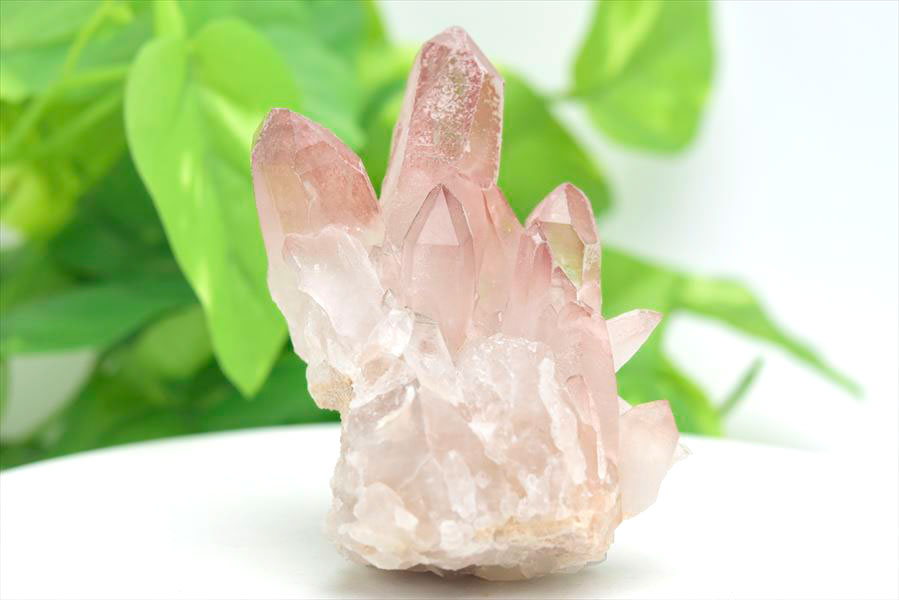 ピンクレムリアン クラスター 原石｜レムリアンシードクリスタル