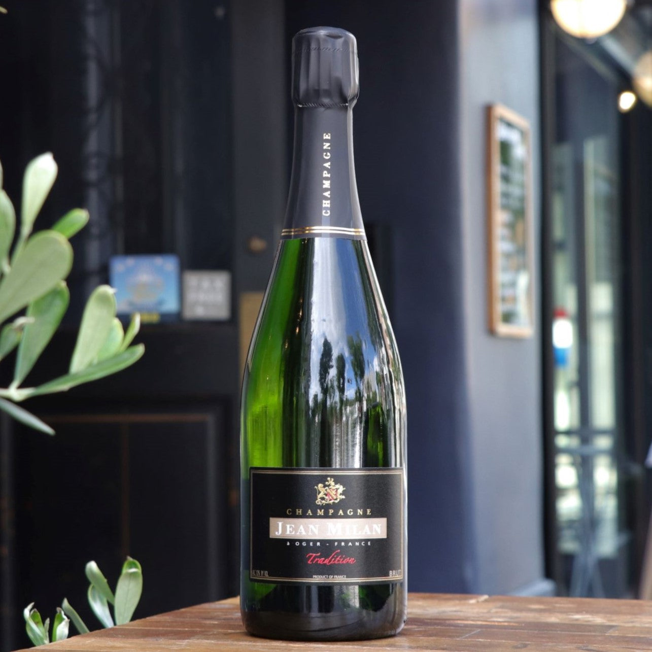 オー・ボン・クリマ ピノ・ノワール ノックス・アレキサンダー サンタ