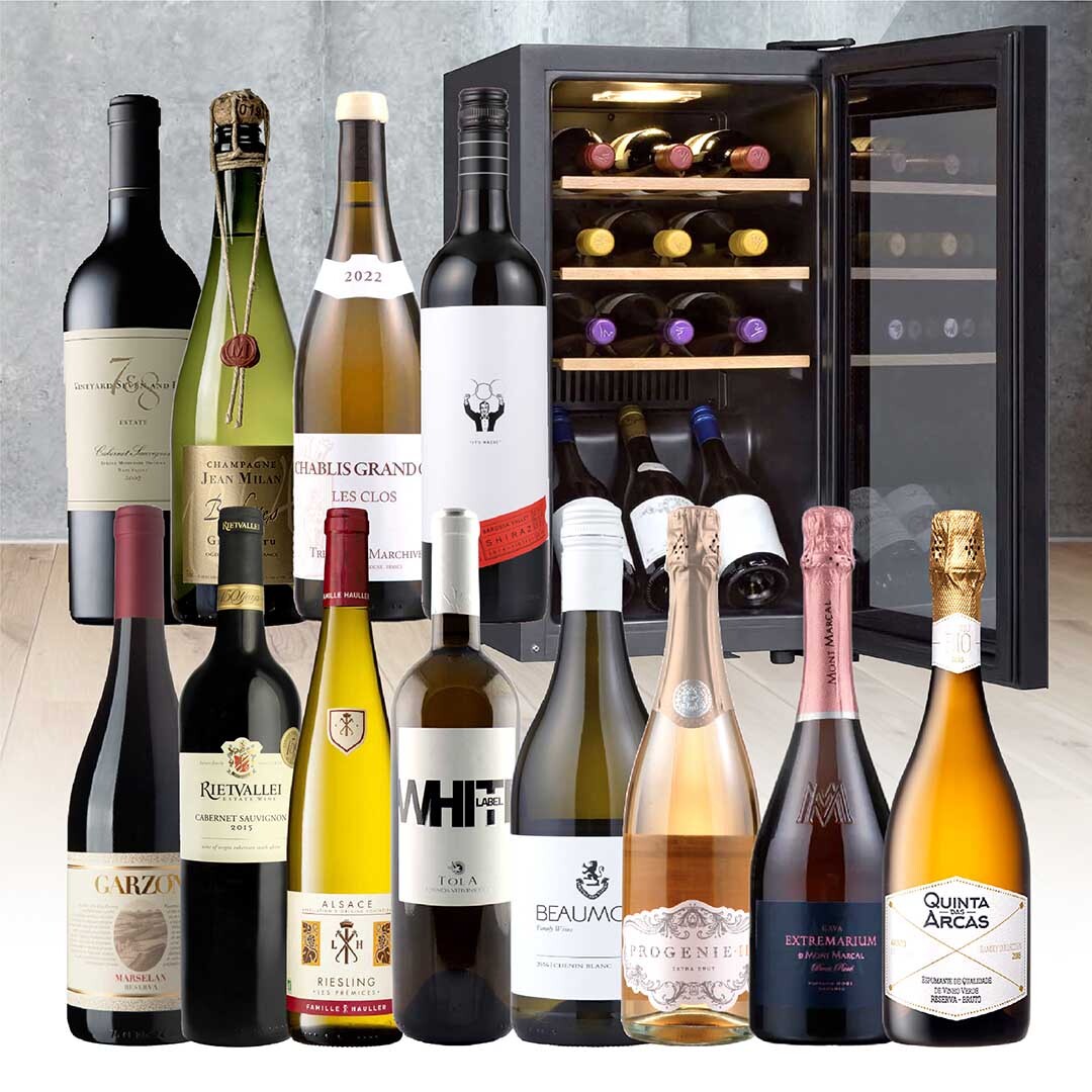 ヴィノスやまざきが選ぶワインセラーセット