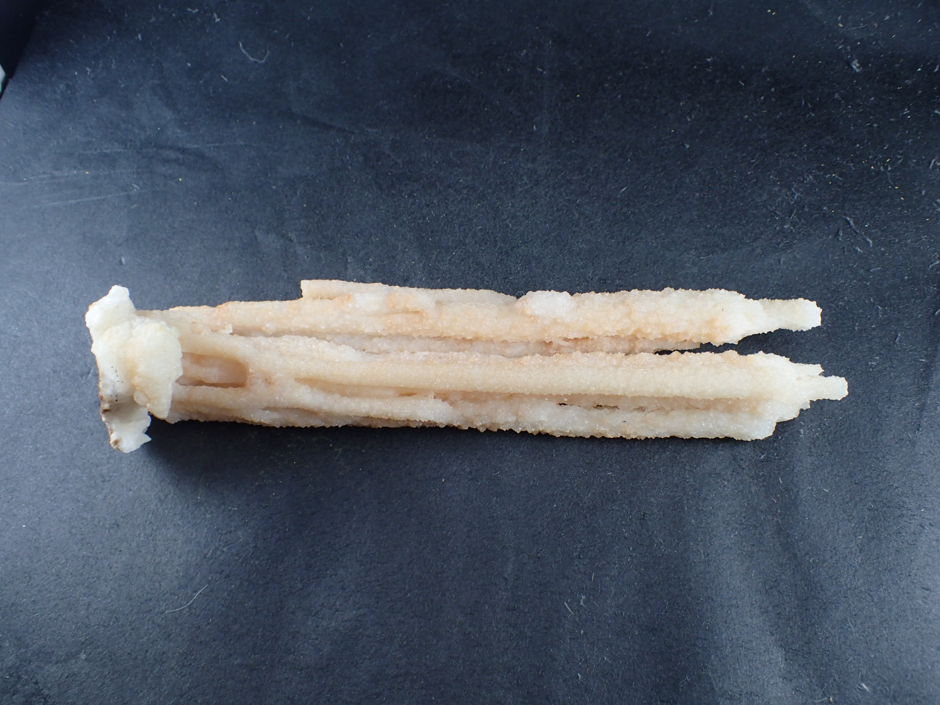 鍾乳石 中国貴州省産 ｜石の販売専門店【vec stone club】