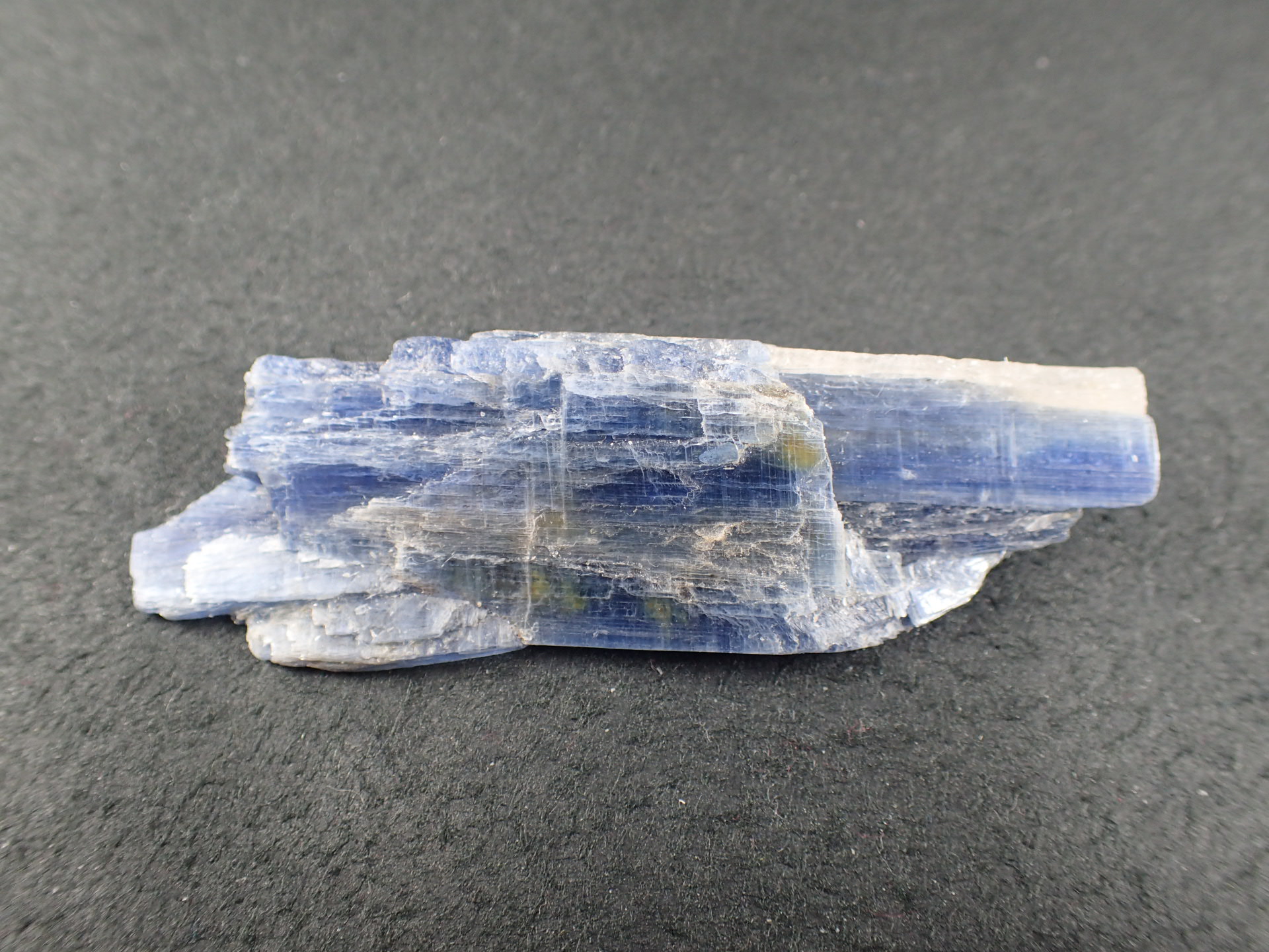 最高品質藍晶石（Kyanite、カイヤナイト) Morro Redondo, Mine, Minas