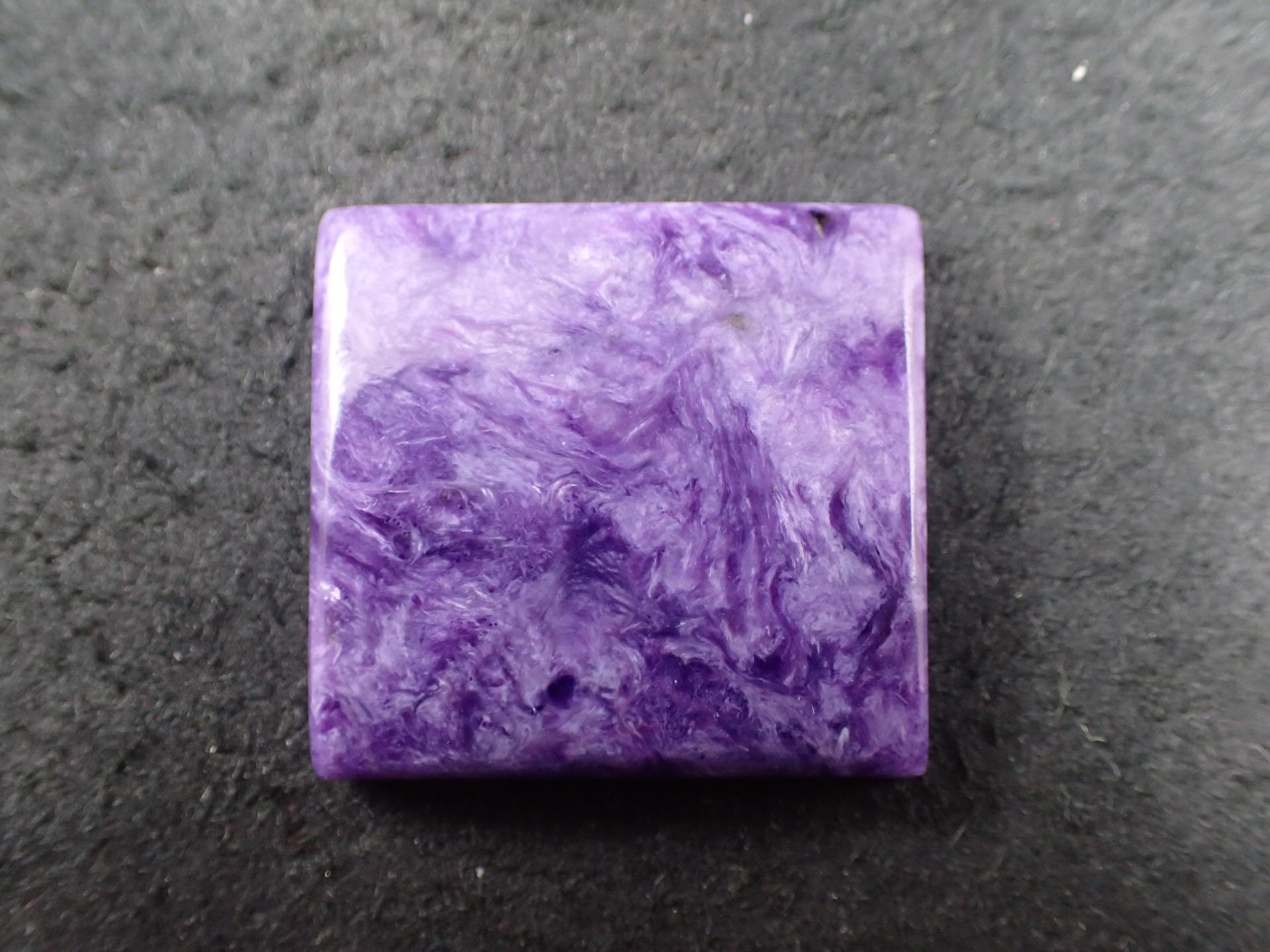 はくとん( 'ω')ŧ‹