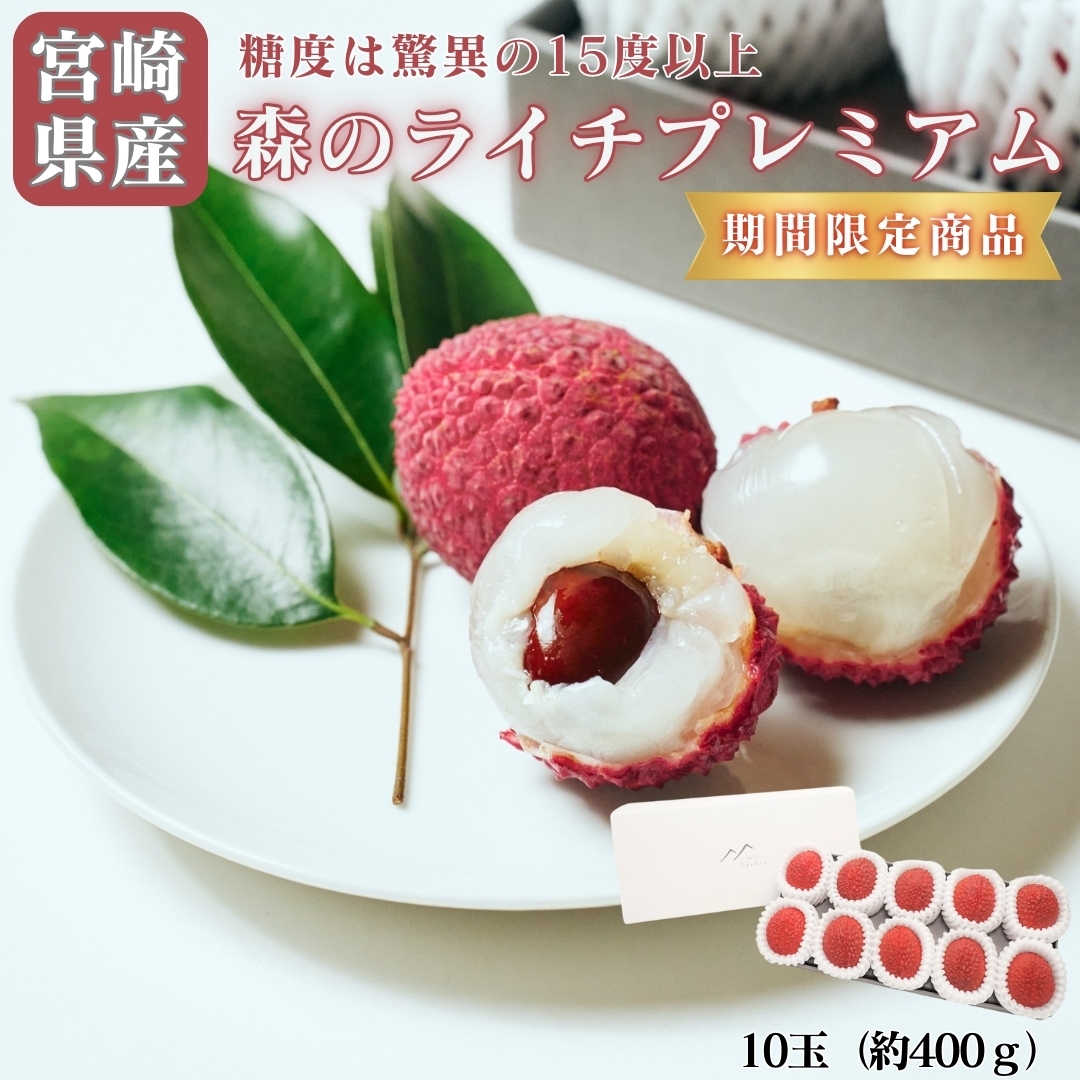 宮崎県産森のライチプレミアム 洋康青果