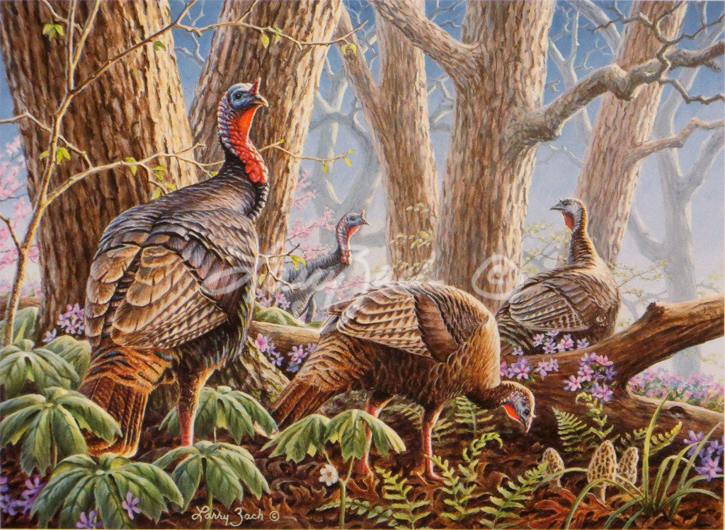 1997 National Wild Turkey Stamp – Larry Zach Wildlife Art