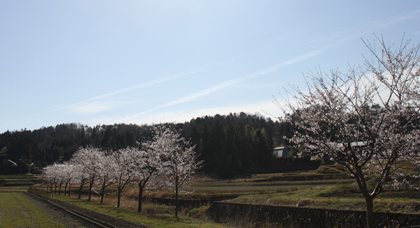 禅文化』221号 技を訪う －土樂窯・福森雅武－ | ブログ 禅 -Blog ZEN-