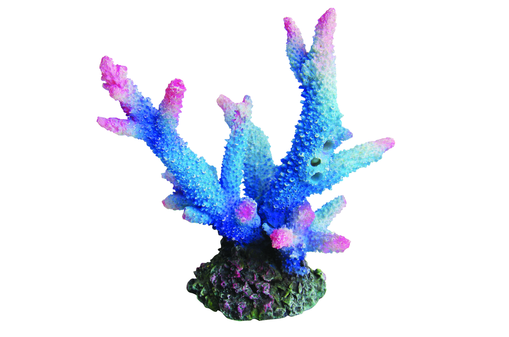 レプリカサンゴ｜ゼンスイ株式会社