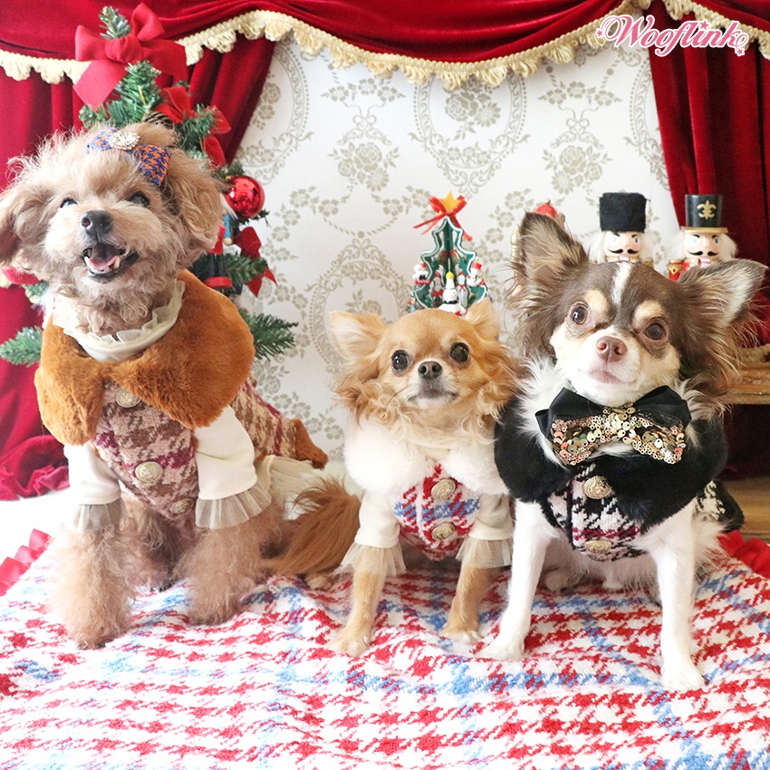 ドッグ ウェア Wooflink TIMELESS CHIC 犬服 タイムレス チック / 小型