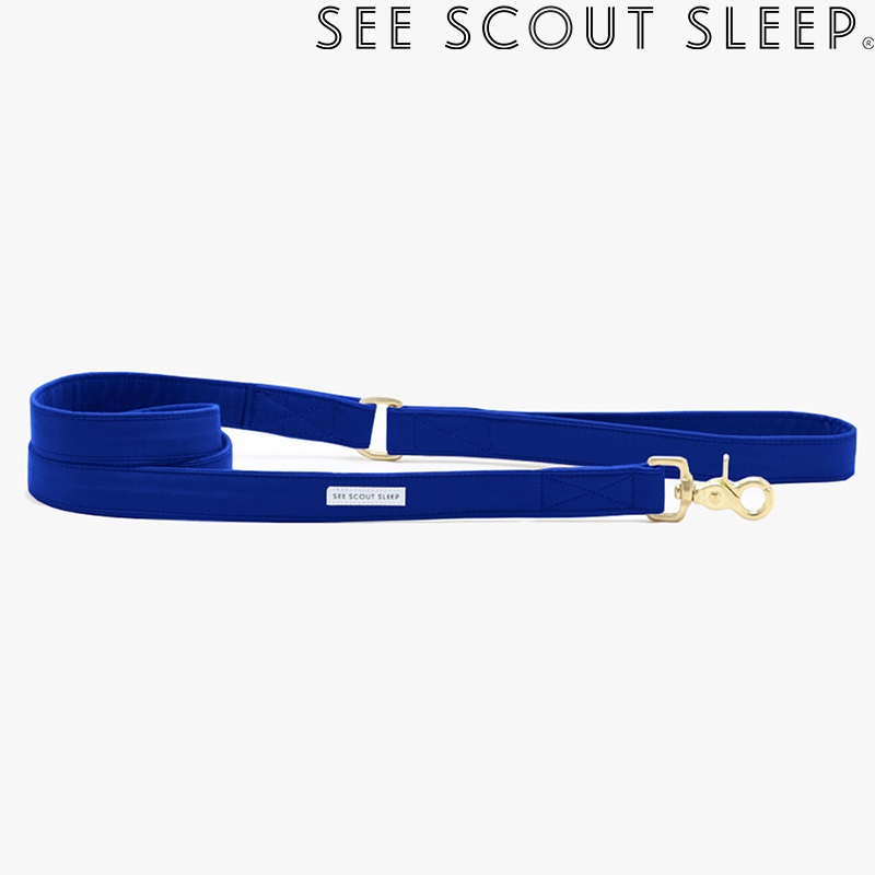 首輪 See Scout Sleep / The Scot / ヴィジュアル・オレンジ