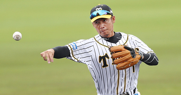 鳥谷敬 実使用守備用手袋 プロ野球選手支給品 鳥谷敬 実使用守備用手袋