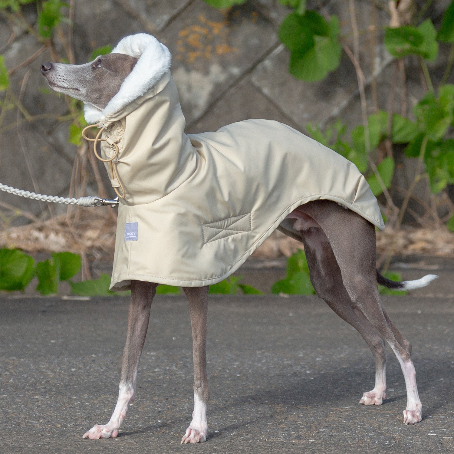 イタグレ ポンチョ コート – YIGGY