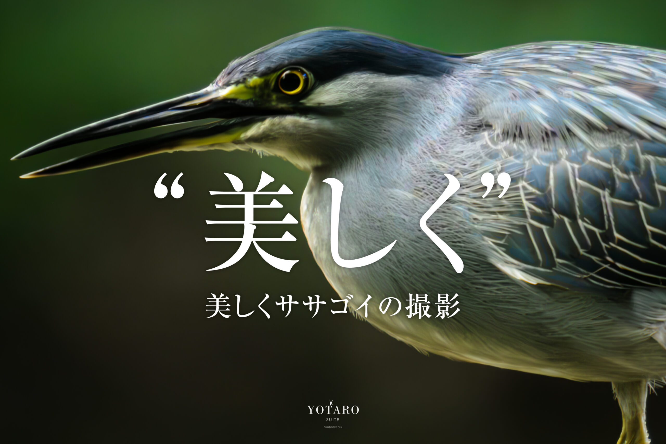 特撮 Ta-5500 Your frame keeper - Tokina SZ Super Tele Finder Lens