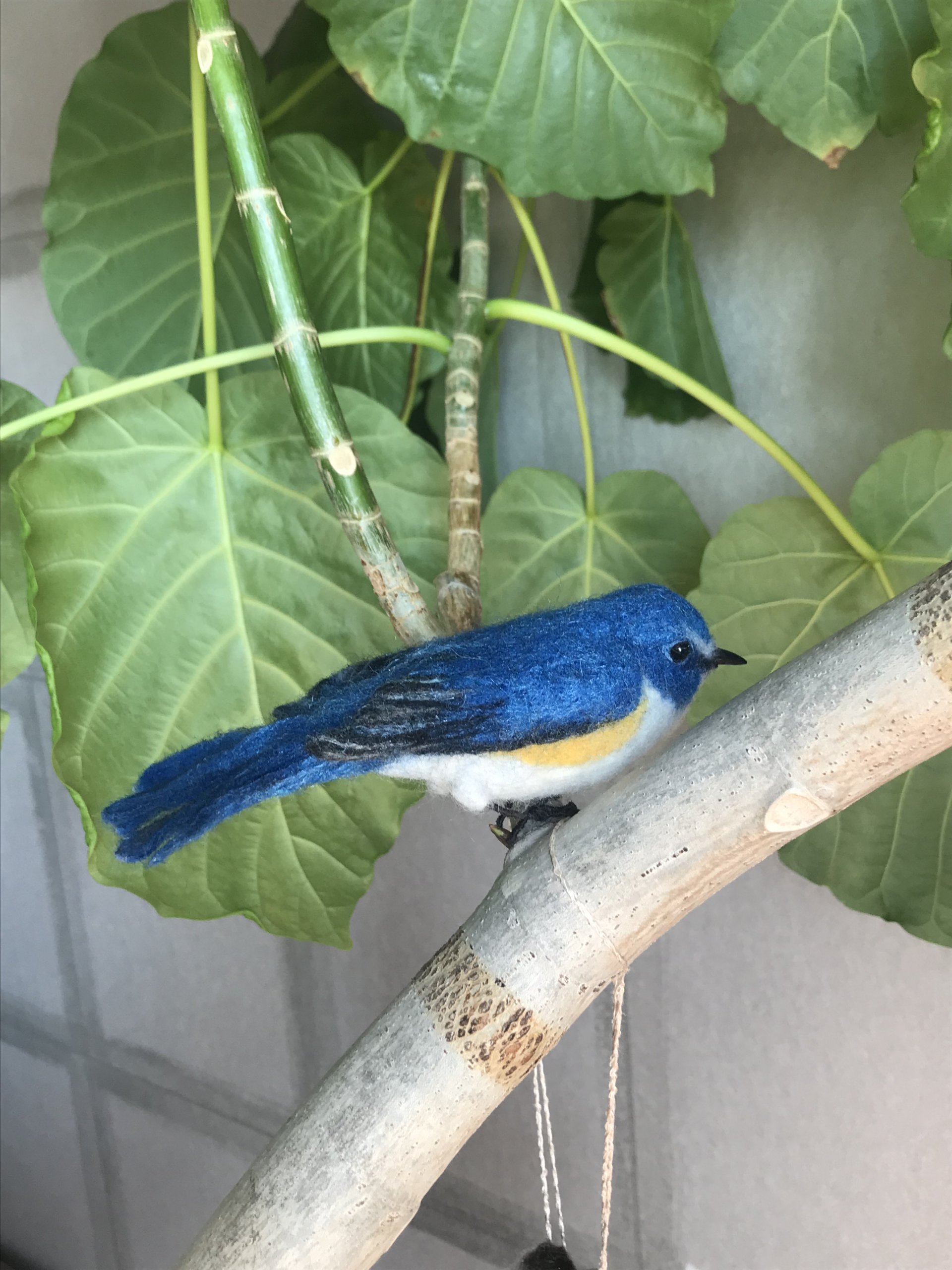 羊毛フェルトで青いルリビタキを作りました。幸せの青い鳥はこれかも