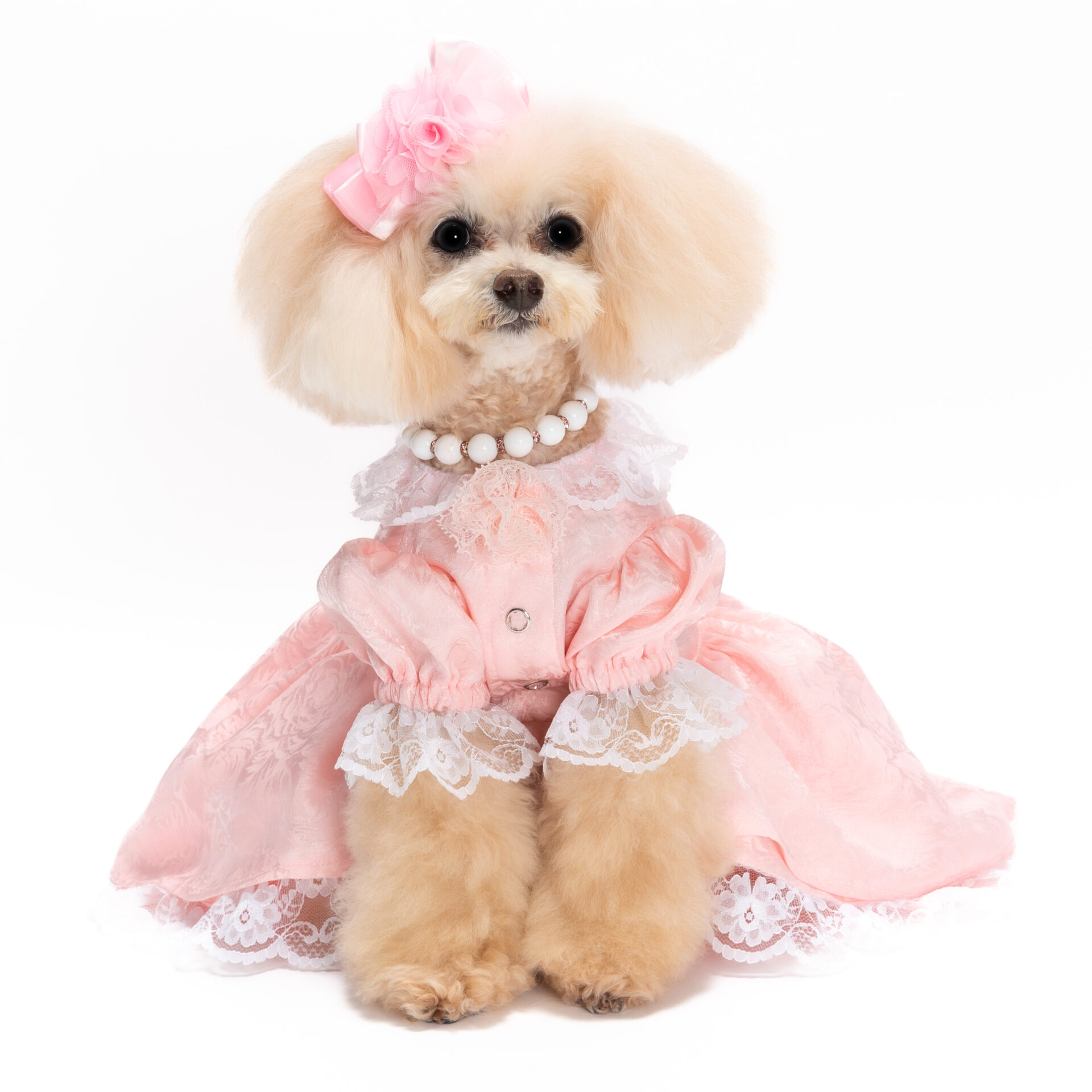 Bailey ピンク スカート付きドレス 小型犬用 ピンクドレス ドッグ