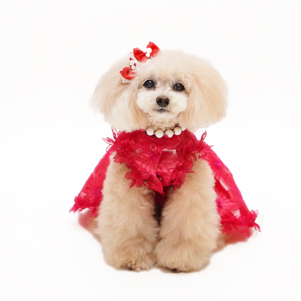 犬猫用ドレス 1点限り赤の花モチーフドレス Sサイズ dr-04 | 犬服・猫