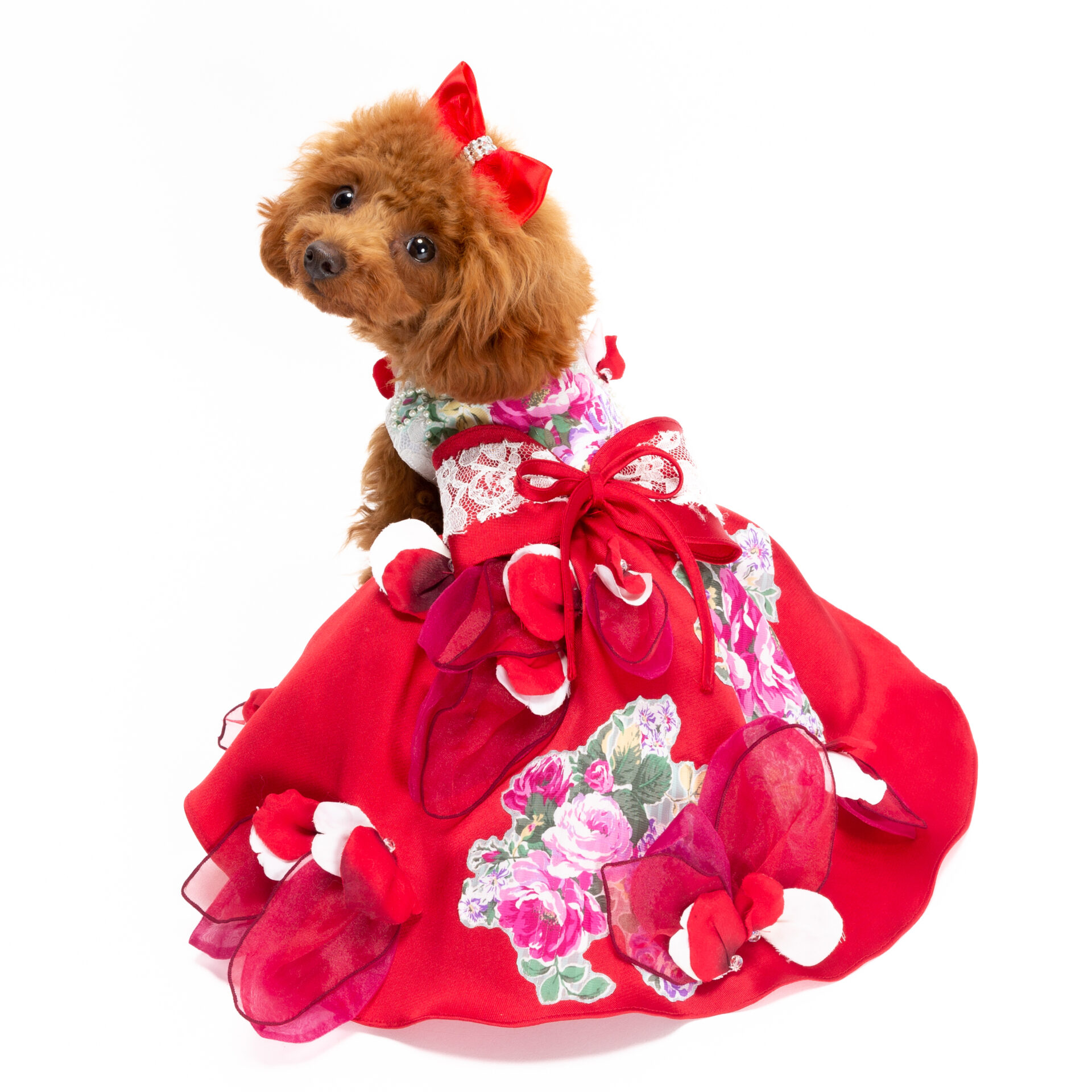 犬用ドレス 赤と青 2着セット 犬猫服1点限り 花