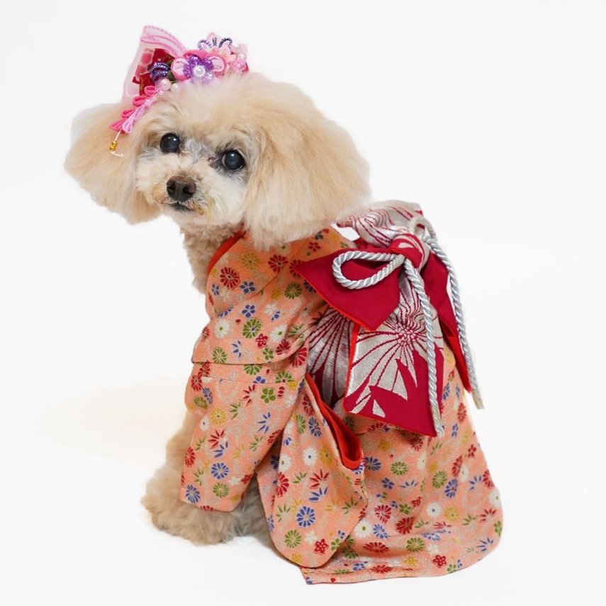 B442.pon2pan2☆犬オーダー☆犬お着物☆犬2ウェイお着物 犬