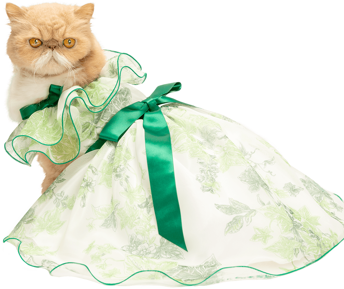 犬服・猫ペット服・婦人服オーダーメイド 友里亜 | 神奈川県川崎市